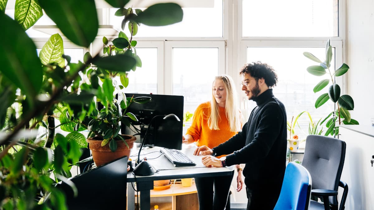 nachhhaltiges Büro