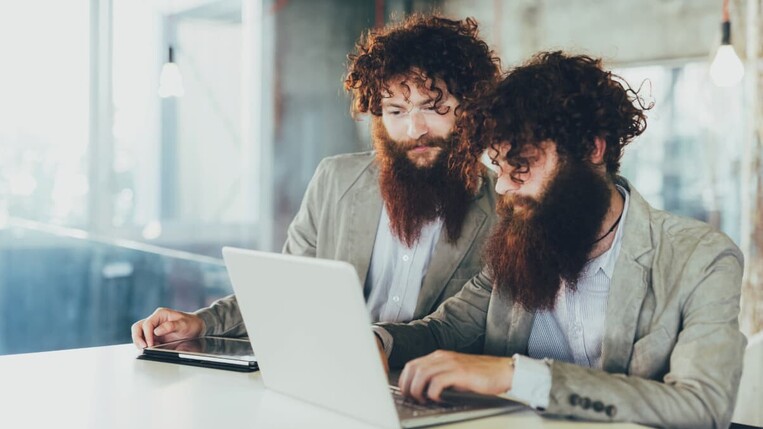 twins in the office